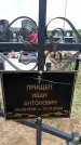 Захоронение ID 6380244
