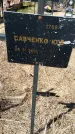 Захоронение ID 6380248