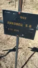 Захоронение ID 6380341