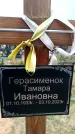 Захоронение ID 6380466