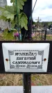 Захоронение ID 6380493