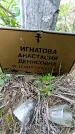 Захоронение ID 6380499