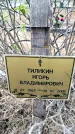 Захоронение ID 6380596