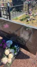 Захоронение ID 6380786