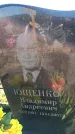 Захоронение ID 6380853