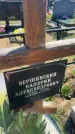 Захоронение ID 6381027