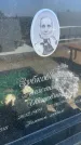 Захоронение ID 6381046
