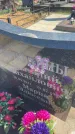 Захоронение ID 6381086