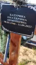 Захоронение ID 6381112