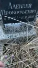 Захоронение ID 6381244