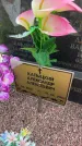 Захоронение ID 6381316