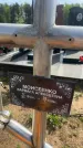 Захоронение ID 6381380