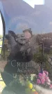 Захоронение ID 6381451