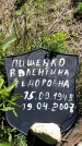 Захоронение ID 6381464