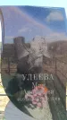 Захоронение ID 6381522