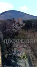 Захоронение ID 6381532