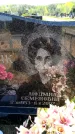 Захоронение ID 6381537