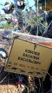 Захоронение ID 6381566