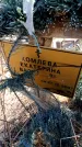 Захоронение ID 6381567