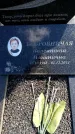 Захоронение ID 6381579