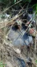Захоронение ID 6381672