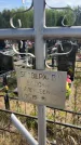 Захоронение ID 6381767