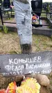 Захоронение ID 6381815
