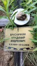 Захоронение ID 6381892