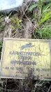 Захоронение ID 6381960