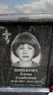 Захоронение ID 6382033