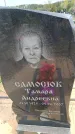 Захоронение ID 6382108