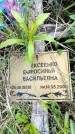 Захоронение ID 6382174