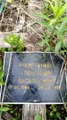 Захоронение ID 6382175