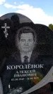 Захоронение ID 6382188