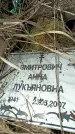 Захоронение ID 6382208