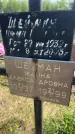 Захоронение ID 6382389