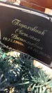 Захоронение ID 6382466