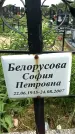 Захоронение ID 6382565