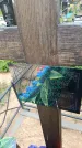 Захоронение ID 6382588