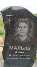 Захоронение ID 6382625
