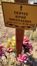 Захоронение ID 6382658