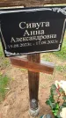 Захоронение ID 6382766