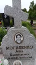 Захоронение ID 6382773