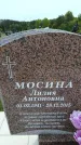 Захоронение ID 6382789