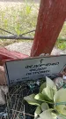 Захоронение ID 6382800