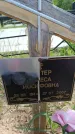 Захоронение ID 6382802