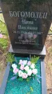 Захоронение ID 6382835