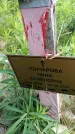 Захоронение ID 6382959