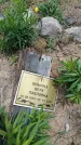 Захоронение ID 6382975