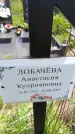 Захоронение ID 6383138